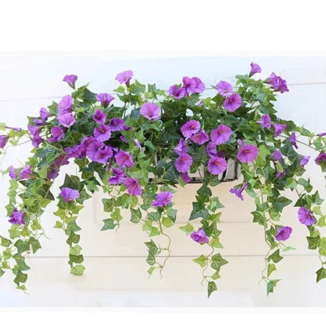 Morning Glory Vine Decoration